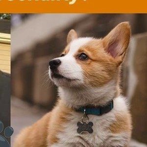 Meet your Posher, Jim